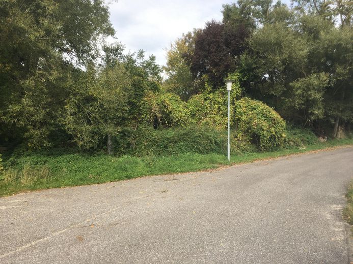 Links von der Dorfstrasse