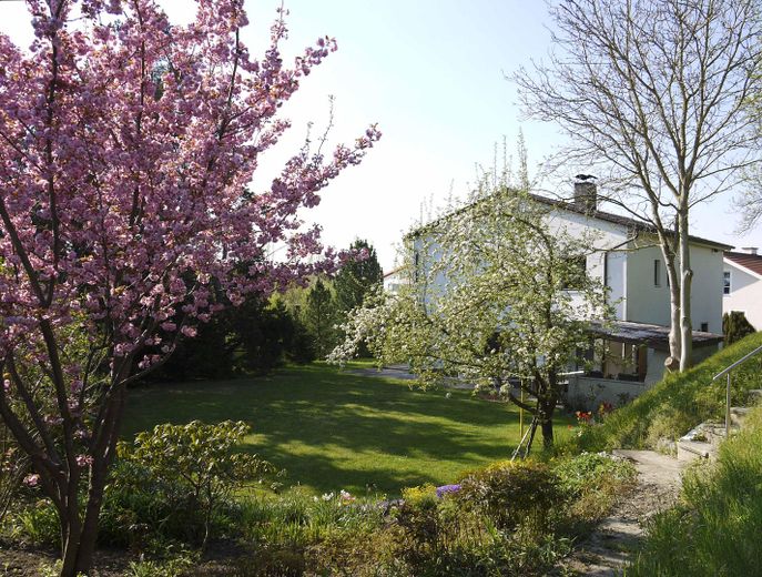Südseitiger Garten
