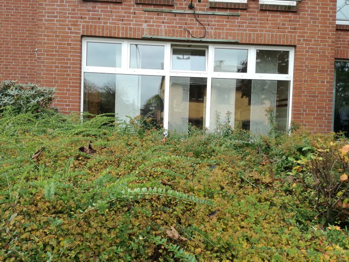 Friseursalon Friseurladen Kosmetikladen Fußpflege Henstedt Ulzburg – Foto 10