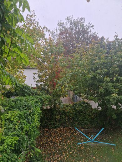 Newly renovated/refurbished, bright two-room apartment with a quiet southwest-facing balcony in Stadtfeld-Ost – Schlafzimmer-Aussicht