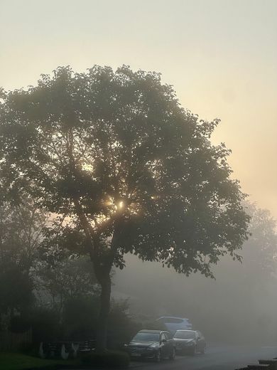 Panorama aus dem Badezimmer