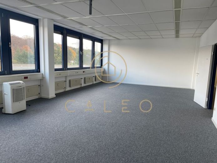 CALEO ¦ Dreieich ¦ 100 m² - 370 m² ¦ ab EUR 8,00/m² ¦ PROVISIONSFREI – Foto 1