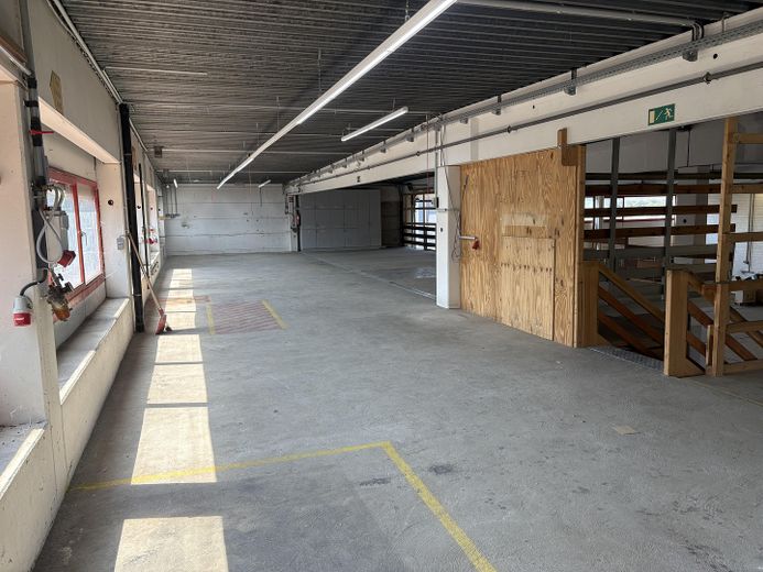 Lager/ Produktionsflächen ca. 1400 m2 mit Büro / teilbar – Foto 10