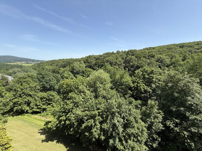***Direkt vom Eigentümer*** Großzügige Wohnung mit 2 Balkonen und Weitblick am Waldrand – Blick vom Balkon (nach Osten)