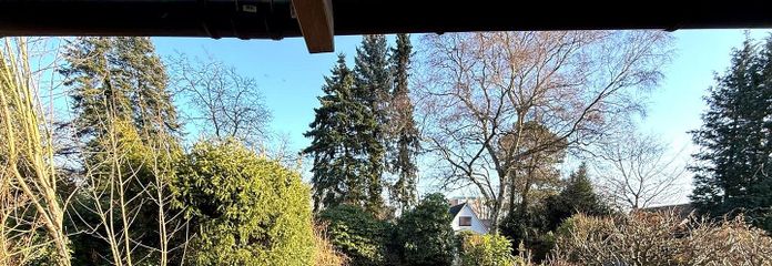 Großzügiger Garten