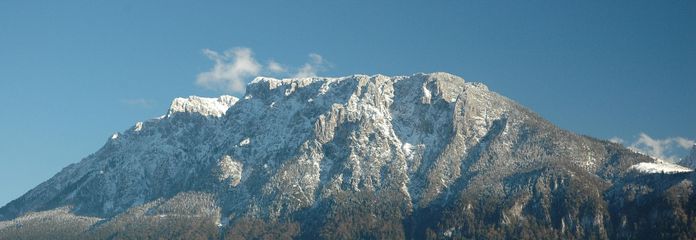 Blick von Terrasse und Garten
