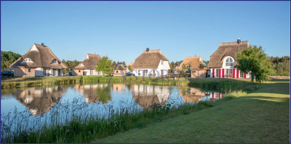 Resort
