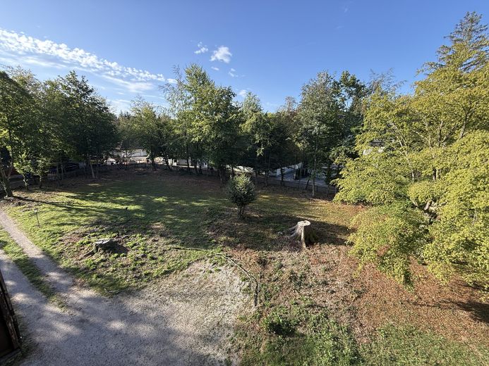Terreno tranquillo in posizione privilegiata a Grünwald - divisibile e senza provvigioni – Foto 8