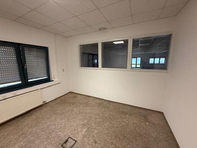 Gewerbeimmobilie mit Lagerhalle und Bürokomplex - Provisionsfrei! – Foto 6