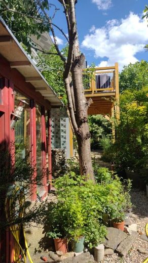Sonniges Einfamilienhaus – Garten 4