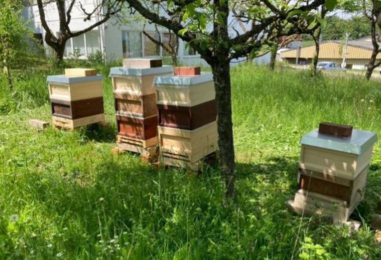 Gewerbepark mit Bienenstöcken 