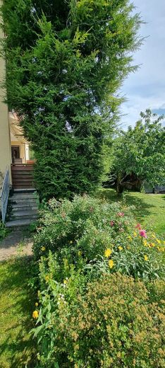 Garten_5