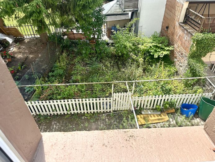 Blick in den Garten