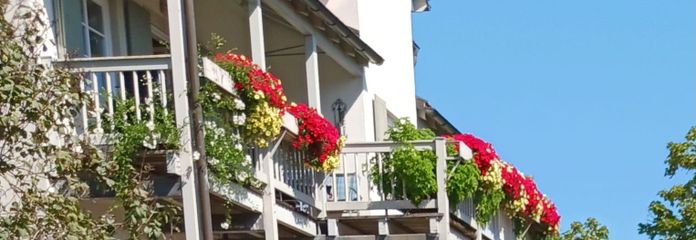 Schöne 6 Zimmerwohnung in Dogern mit großem Balkon – Außenansicht