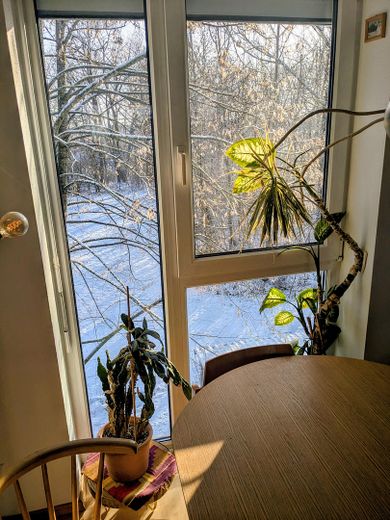 Blick Hinterseite Haus