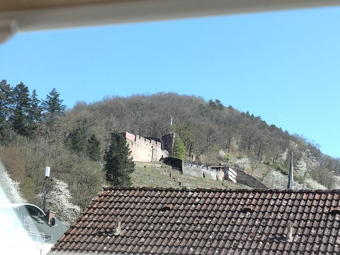 Blick auf die Klingenburg