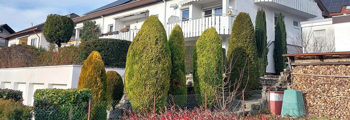 Balkon DG und Garagen