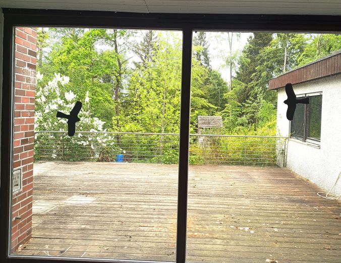 Ausblick Wintergarten
