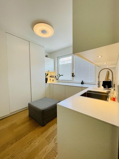 Designer Maisonette-Wohnung nähe Zoopark mit Blick ins Grüne, Fussbodenheizung, Kamin, Terrasse – Waschraum / Anschlussraum