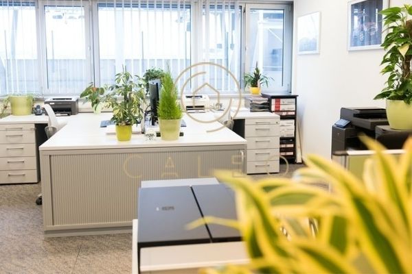 CALEO ¦ Liebenau ¦ Harmsdorfpark ¦ flexibel + sofort bezugsfertig ¦ all inclusive ¦ PROVISIONSFREI