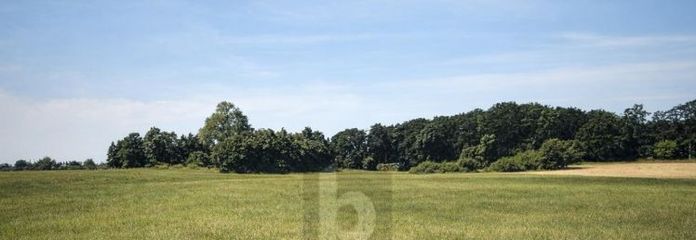 GRÜNLANDFLÄCHE - KAPITALANLAGE MIT PV-POTENTIAL