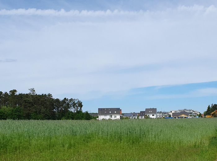 Sunny plot in a sought-after edge-of-village location – 525 m² with south-facing orientation and unobstructed view of greenery – Blick von Süden