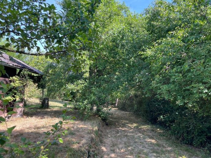 Aidlingen: Großzügiges Garten-/Freizeitgrundstück – Foto 1