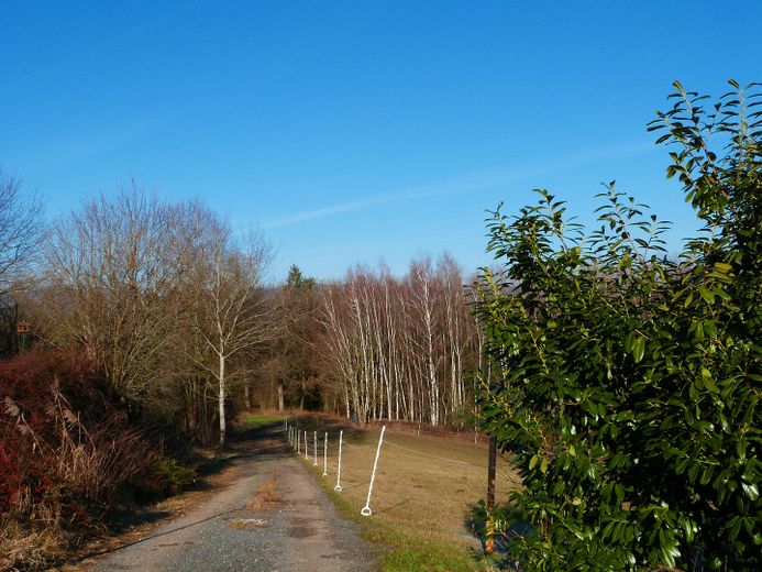 Wanderweg direkt am Haus