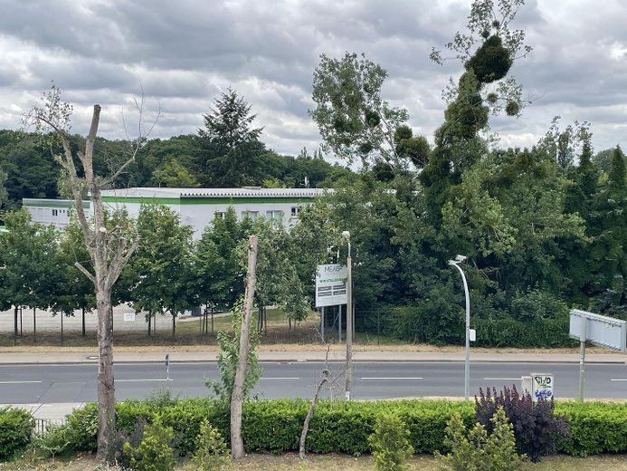Helle möblierte Dreizimmerwohnung am Jungfernsee – Foto 26