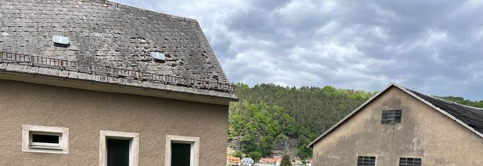 IMG_2297