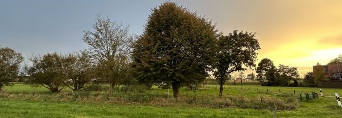 Freizeitgrundstück in Petershagen-Friedewalde - Holzmann Immobilien