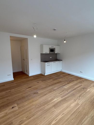Erstbezug 1-Zimmer Appartement (unmöbliert) in Erlangen nähe Bohlenplatz - nach Kernsanierung – Appartement