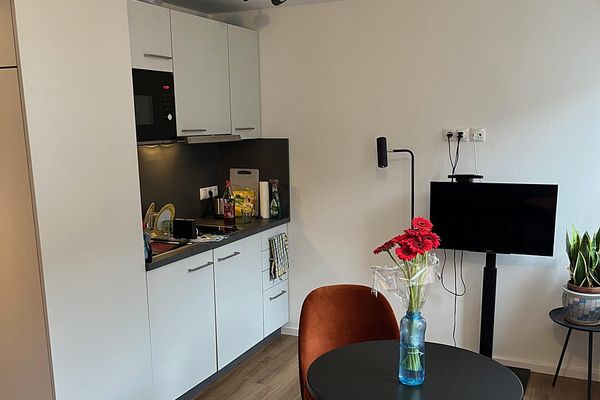 Furnished studio apartment - Himpfelhof