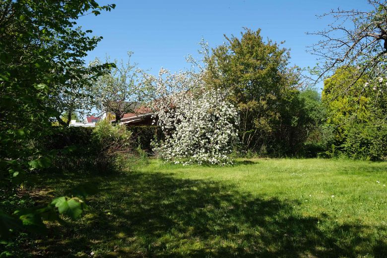 Grundstück mit Steinbungalow – Grundstück
