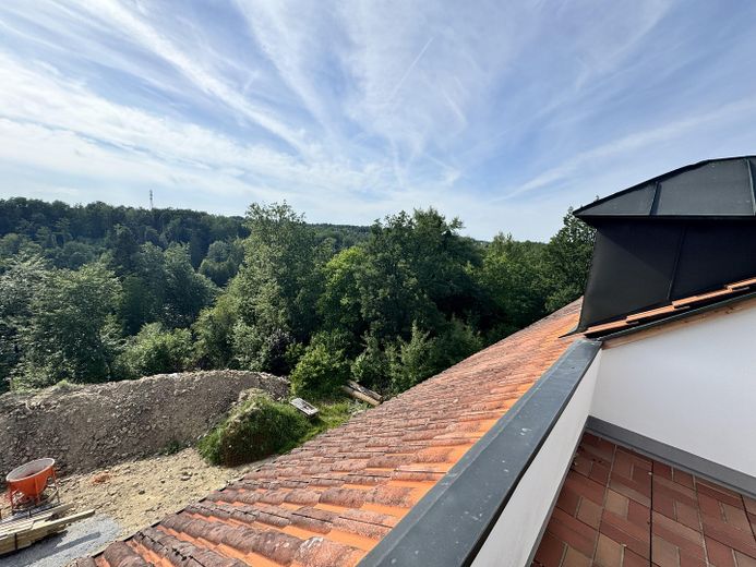 Wohnen mit Waldblick im begehrten Wohngebiet PA-Hacklberg – Dachterrasse (Westen)