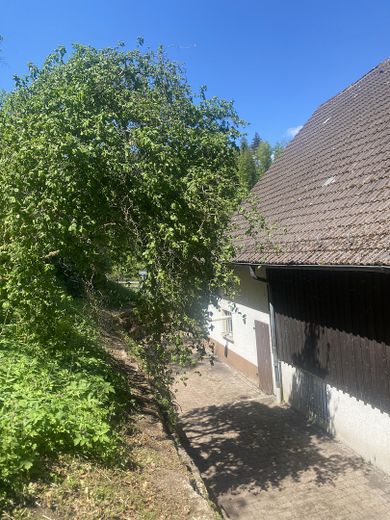 Südseite