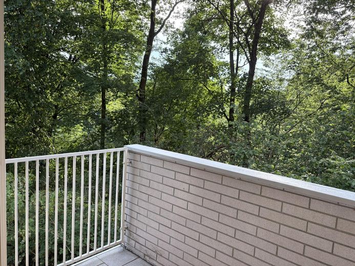 Frisch modernisierte 3-Zimmer-Wohnung mit Loggia – sofort bezugsfrei und Provisionsfrei – Loggia mit Blick ins Grüne