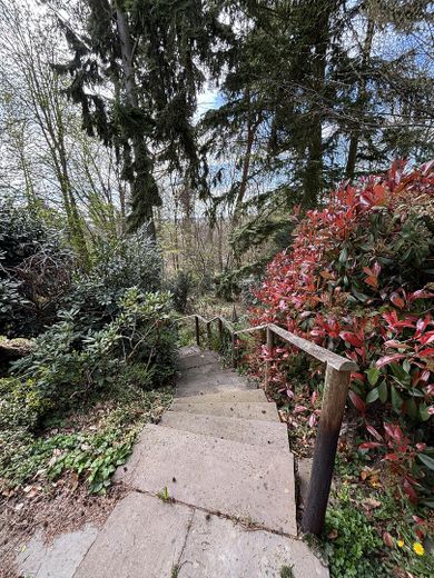 Waldblick Haus2