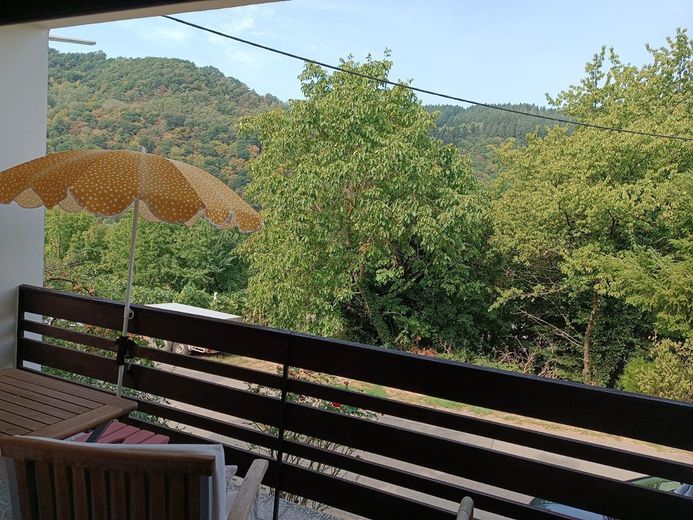 Tolle Immobilie im Landhausstil in Enkirch an der Mosel - Wohnen & Vermieten unter einem Dach – Foto 11
