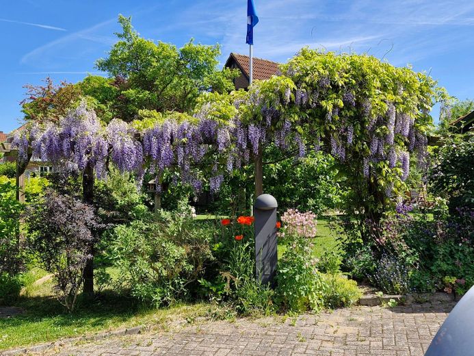 Bungalow mit verschiedenen Nutzungsmöglichkeiten – Foto 36