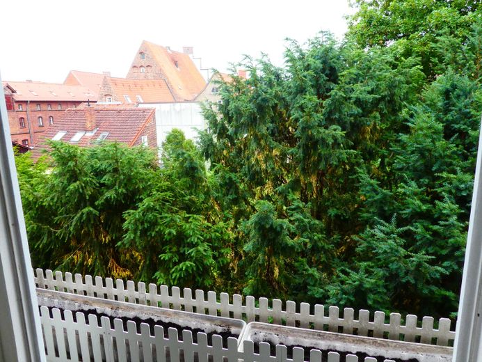 Blick aus der Küche 2
