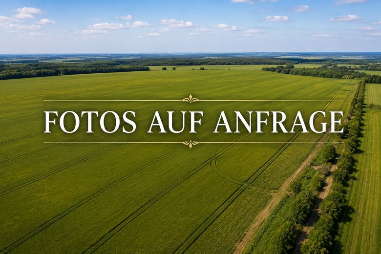 ALMAN SINIRINA YAKIN 118 HA YÜKSEK KALİTELİ TARIM ARAZİSİ – Fotoğraf 2