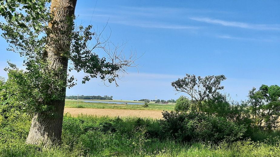 Ostsee - Boddenküste - Wasserblick - Baugrundstück - Ribnitz-Damgarten – Foto 2