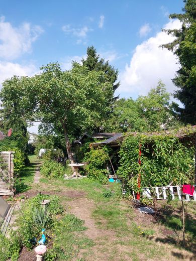 Özel kişiden nadir fırsat, Babelsberg-Süd’de imarlı arsa: 1.074 m² toplam alan, imar planı – Fotoğraf 14