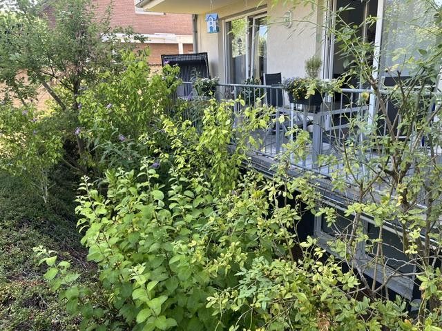Hochwertige helle 3-Zi.-Whg., Einbauküche u. Balkon, in modernem 4-Fam.-Haus, Bestwohnlage Groovnähe – Hausrückseite mit Balkon
