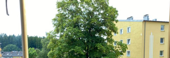 Blick vom Balkon ins Grüne