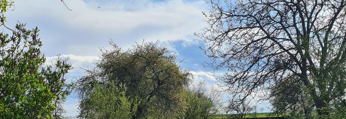 Idylle