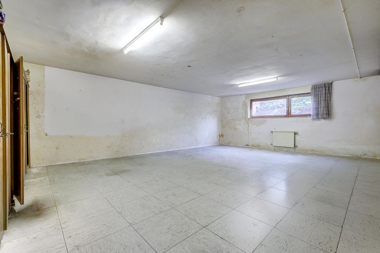 Ihr eigener Wald auf dem Dach  ---  Biotop statt Beton – 2. Wohnzimmer im UG