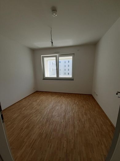 Zimmer 2