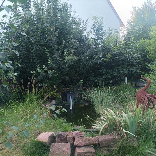 >Teich hinter garten links